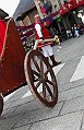 Gara delle Bighe 2011-7842
